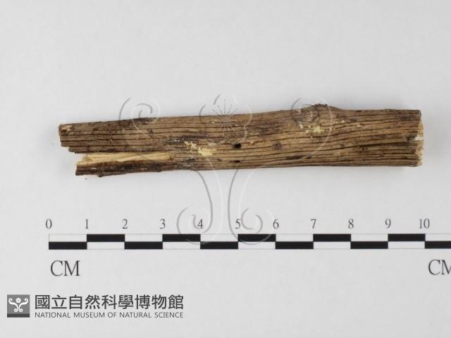 登錄號:F0020156藏品圖，第1張