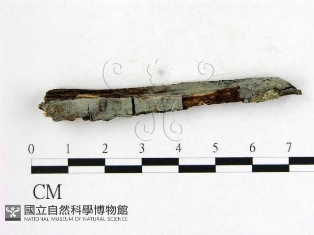 登錄號:F0009156藏品圖，第1張