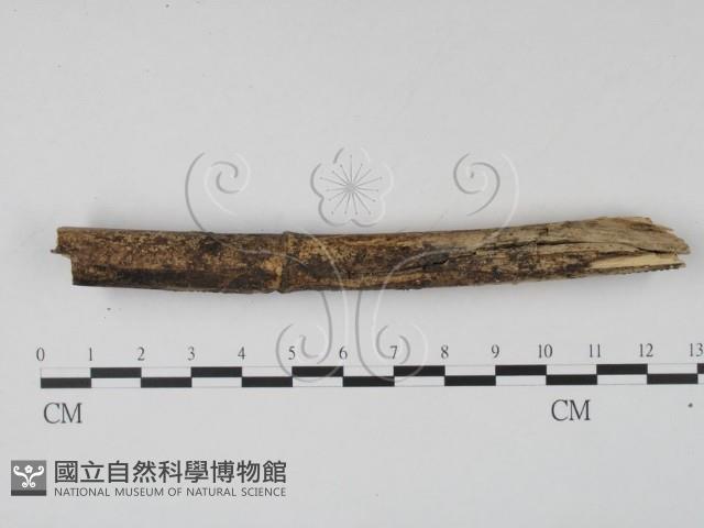 登錄號:F0021056藏品圖，第1張