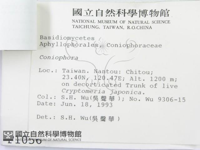 登錄號:F0001056藏品圖，第3張
