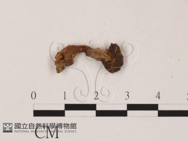 登錄號:F0004056藏品圖，第1張