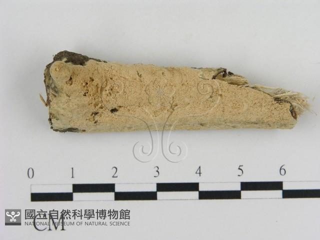 登錄號:F0010356藏品圖，第1張