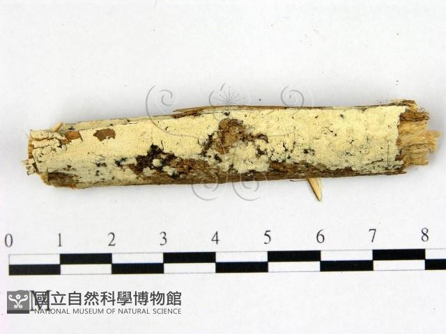 登錄號:F0022356藏品圖，第1張