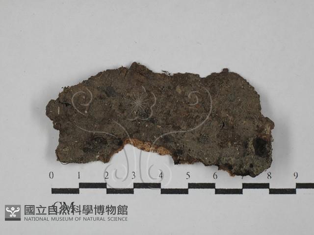 登錄號:F0029356藏品圖，第1張