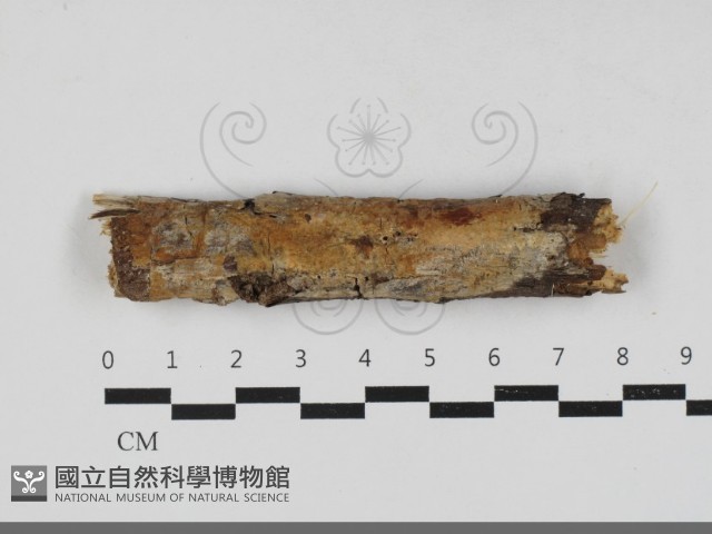 登錄號:F0033356藏品圖，第1張