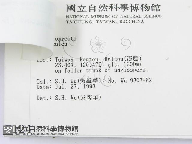 登錄號:F0001246藏品圖，第3張