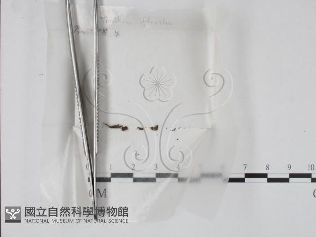 登錄號:F0002246藏品圖，第1張