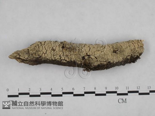 登錄號:F0024846藏品圖，第1張