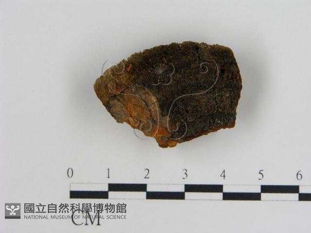 登錄號:F0017846藏品圖，第1張
