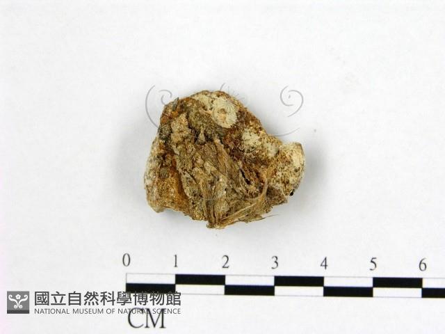 登錄號:F0015846藏品圖，第1張