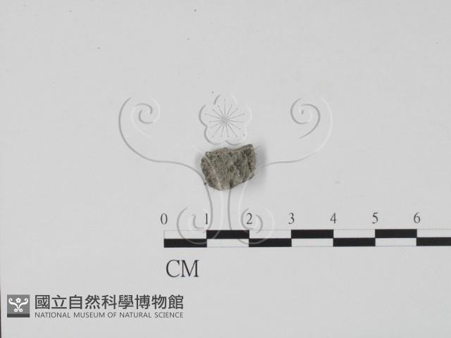 登錄號:F0009846藏品圖，第1張