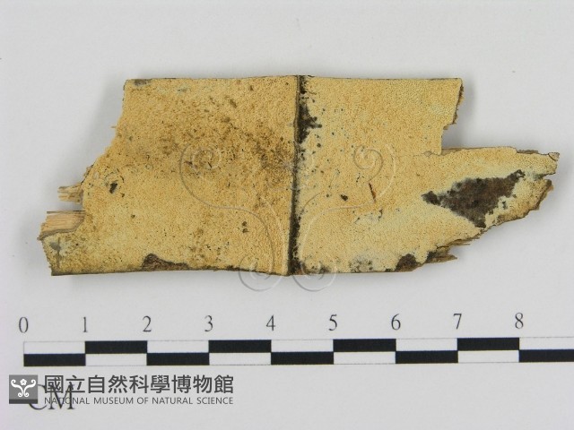 登錄號:F0003846藏品圖，第1張