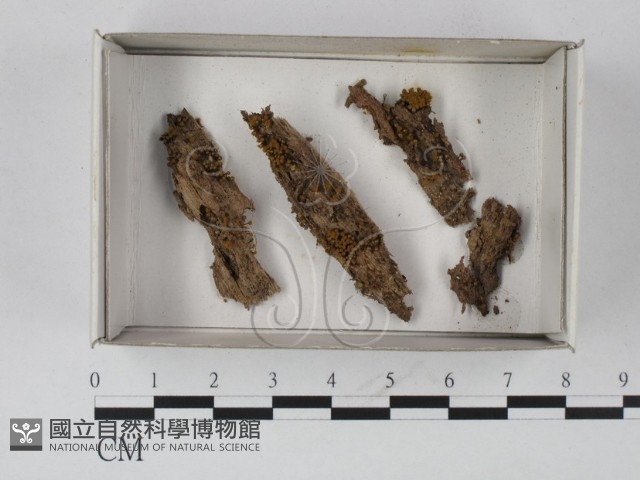 登錄號:F0008946藏品圖，第1張