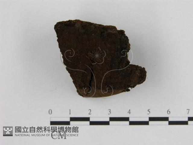 登錄號:F0006946藏品圖，第1張