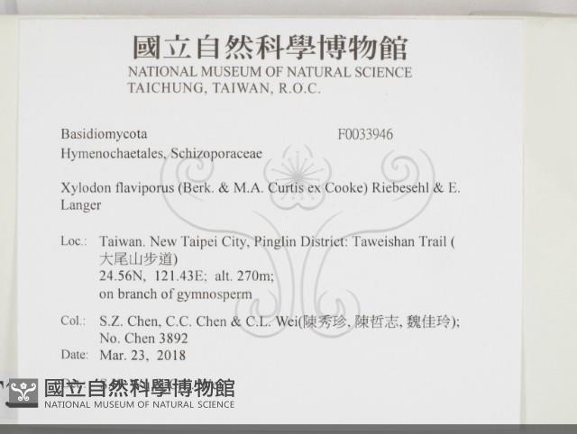 登錄號:F0033946藏品圖，第1張