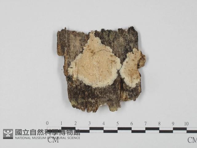 登錄號:F0004646藏品圖，第1張