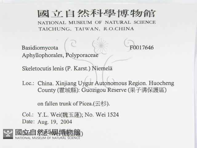 登錄號:F0017646藏品圖，第3張