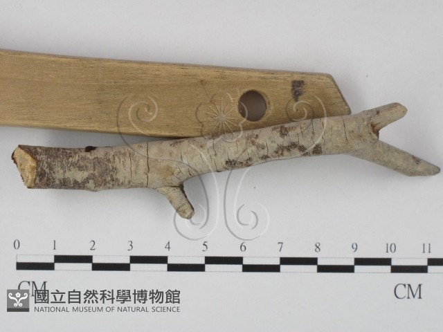 登錄號:F0023646藏品圖，第1張