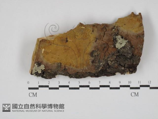 登錄號:F0030446藏品圖，第1張