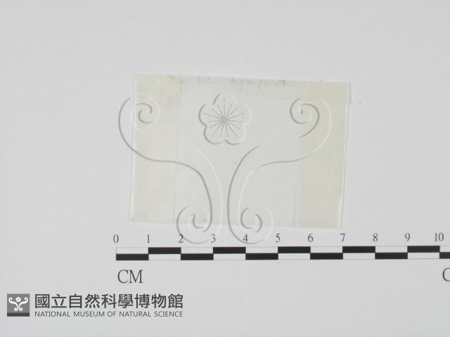登錄號:F0001446藏品圖，第1張