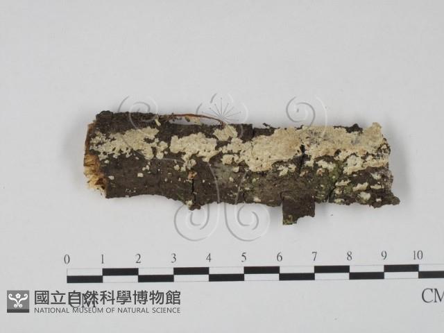登錄號:F0022746藏品圖，第1張