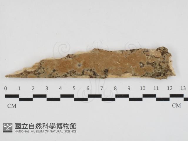 登錄號:F0032746藏品圖，第1張