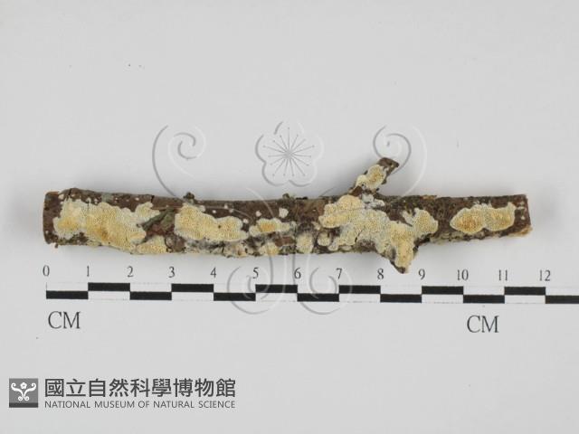 登錄號:F0027746藏品圖，第1張