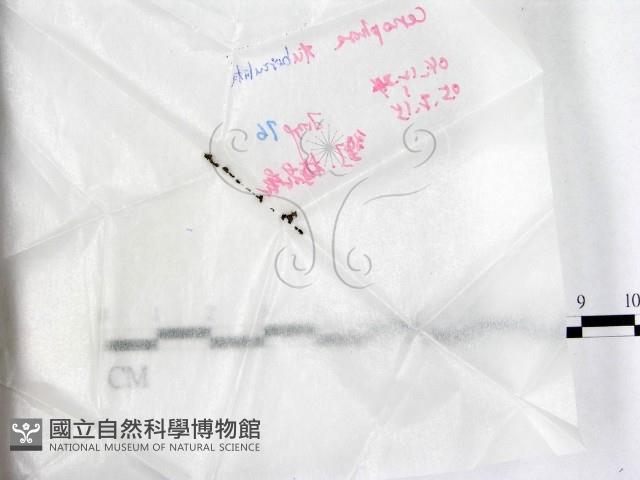 登錄號:F0017746藏品圖，第1張