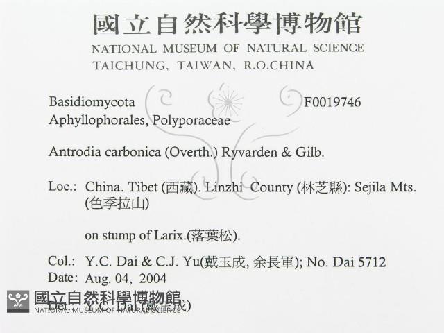 登錄號:F0019746藏品圖，第3張