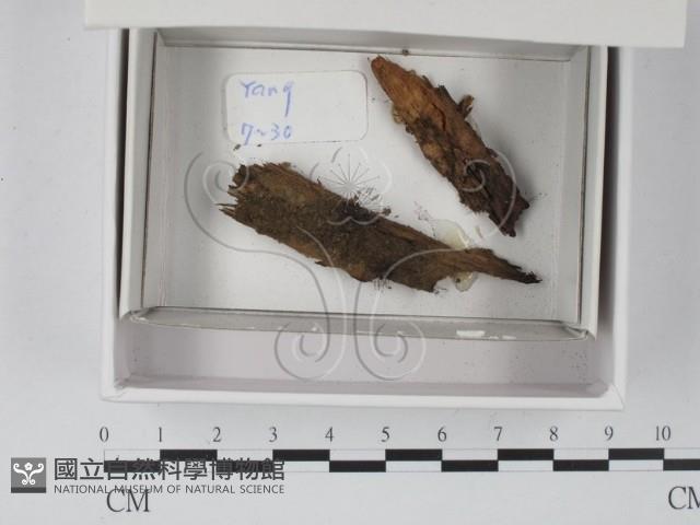 登錄號:F0020546藏品圖，第1張