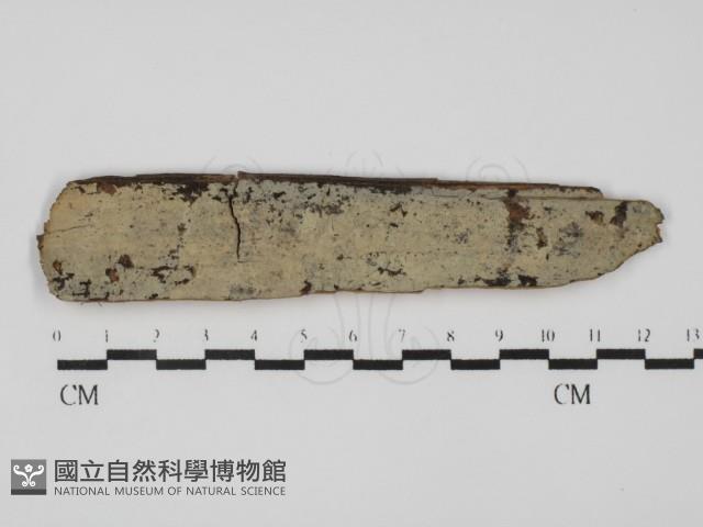 登錄號:F0031546藏品圖，第1張
