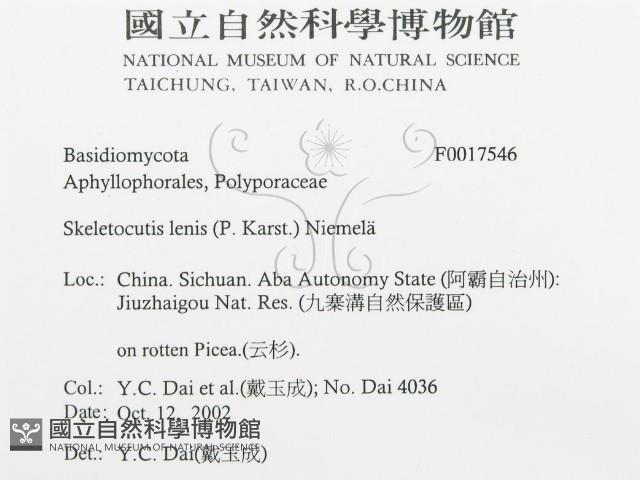 登錄號:F0017546藏品圖，第3張