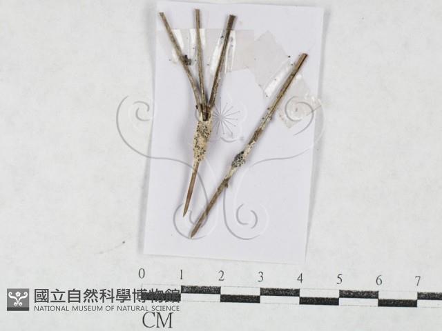 登錄號:F0027146藏品圖，第1張