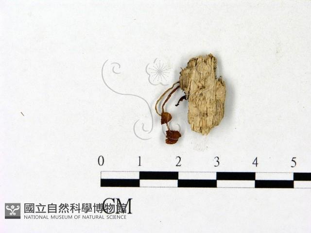 登錄號:F0023146藏品圖，第1張