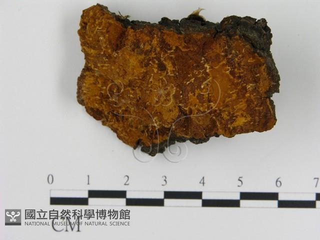 登錄號:F0008046藏品圖，第1張