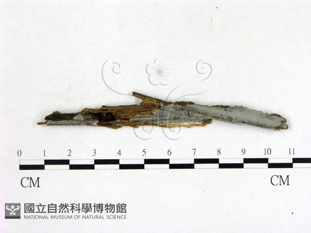 登錄號:F0004046藏品圖，第1張