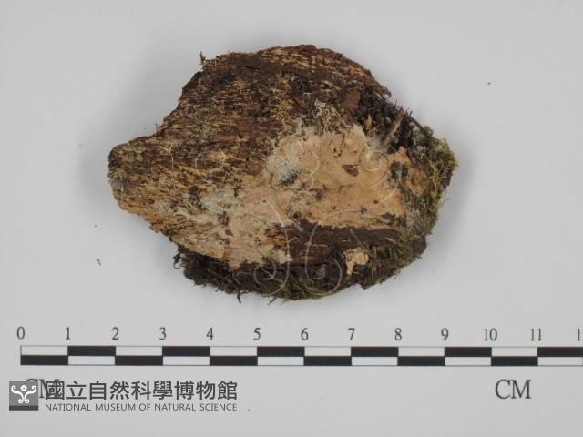 登錄號:F0014046藏品圖，第1張