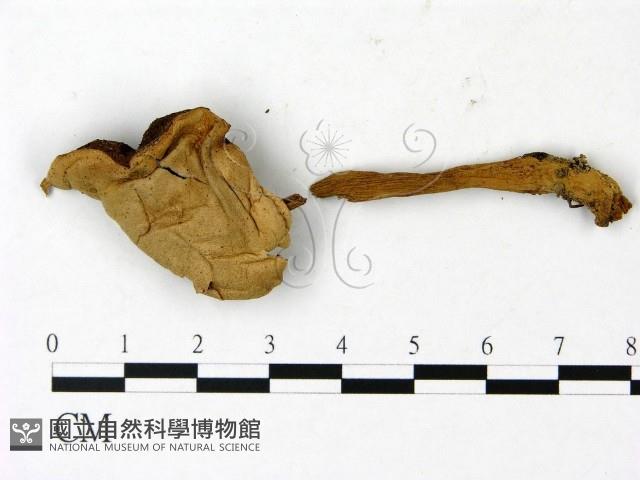 登錄號:F0023046藏品圖，第1張