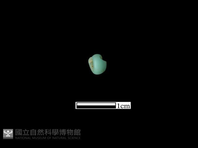 玻璃珠藏品圖，第3張