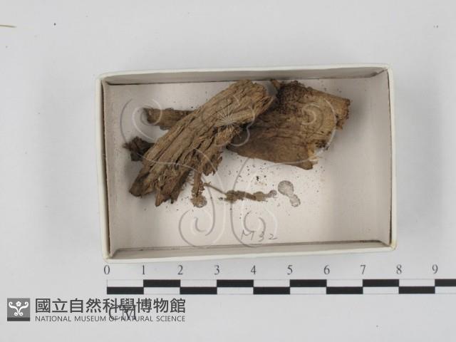 登錄號:F0018346藏品圖，第1張