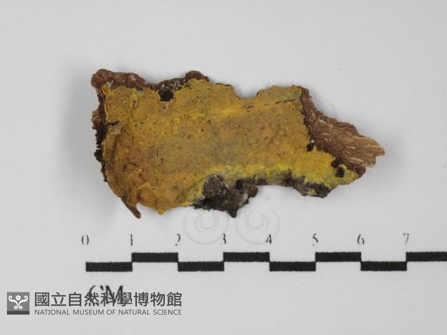 登錄號:F0031346藏品圖，第1張