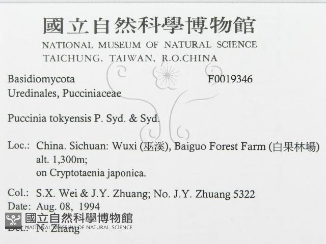 登錄號:F0019346藏品圖，第3張