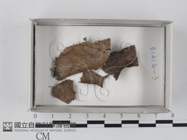 登錄號:F0018236藏品圖，第1張