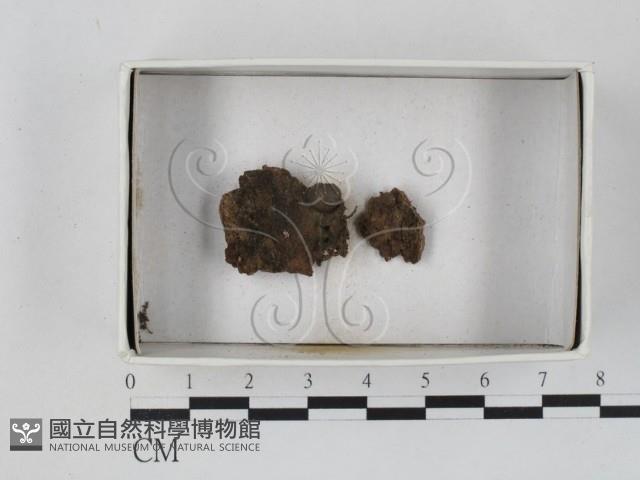 登錄號:F0021236藏品圖，第1張