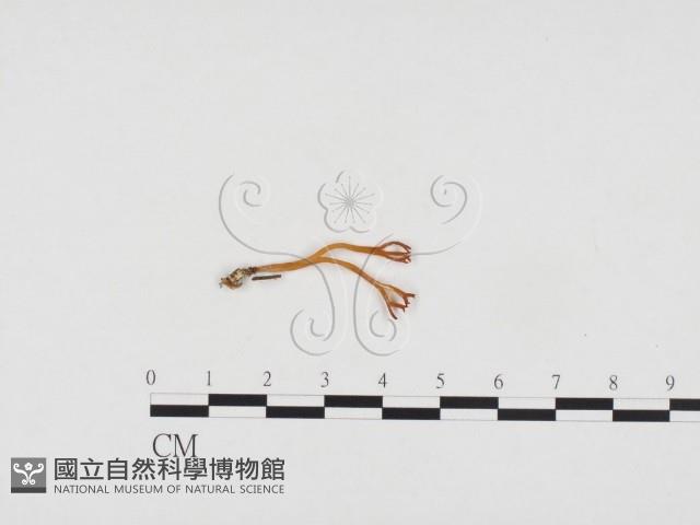 登錄號:F0024236藏品圖，第1張