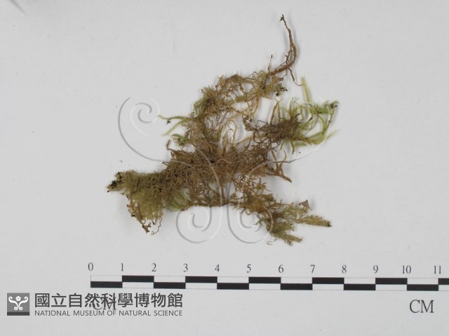 登錄號:F0002236藏品圖，第1張