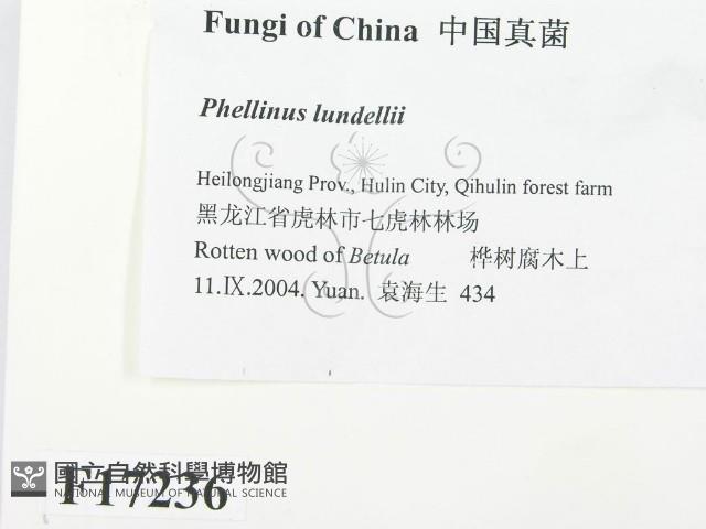 登錄號:F0017236藏品圖，第3張
