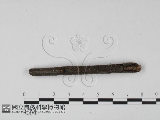 登錄號:F0015236藏品圖，第1張