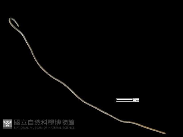 髮簪藏品圖，第1張