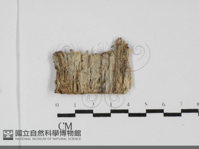 登錄號:F0031836藏品圖，第1張